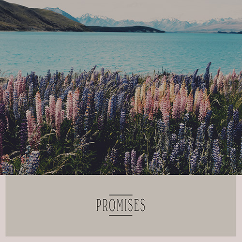 Promises album cover