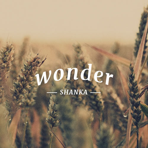 Wonder album cover