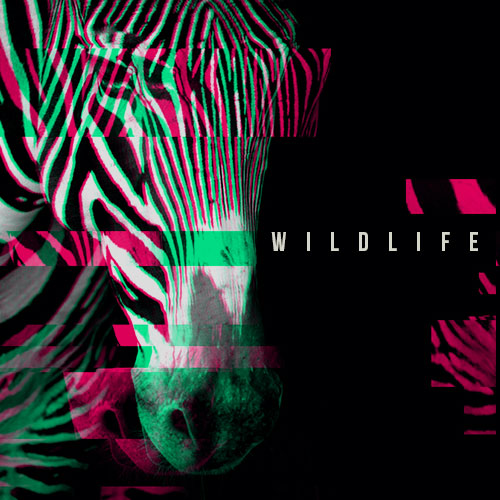 Wildlife album cover