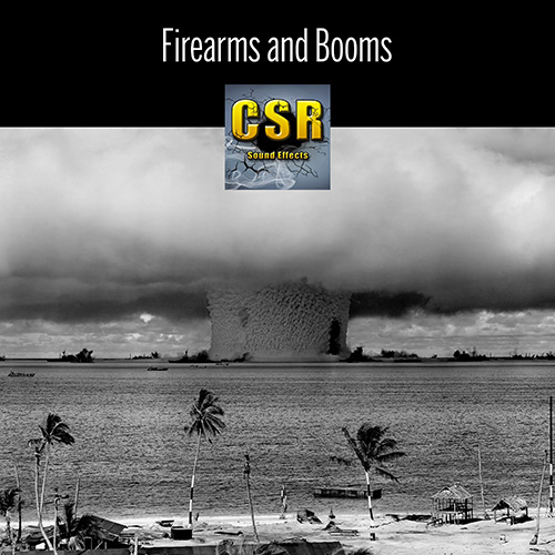 Firearms and Booms album cover
