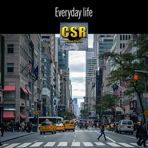 Everyday life  album cover