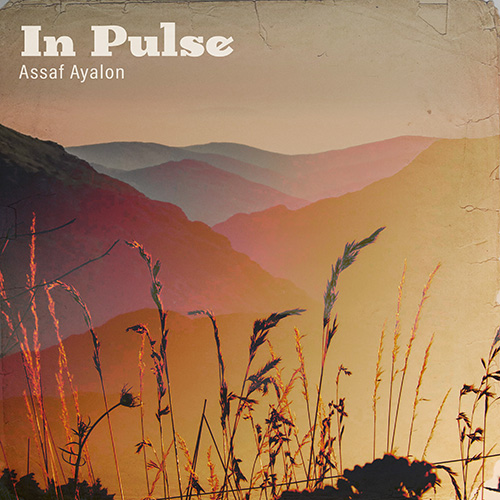 In Pulse album cover