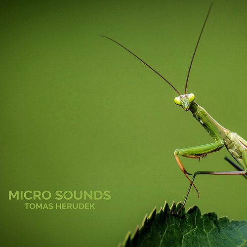Micro Sounds album cover