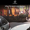 Urban Hangouts and Internals album cover