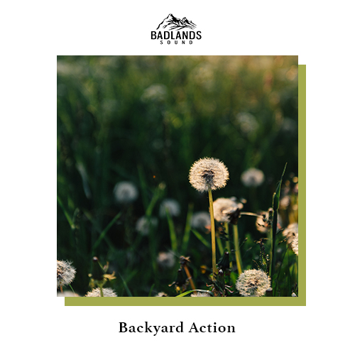 Backyard Action album cover