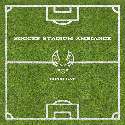 Soccer Stadium Ambiance album cover