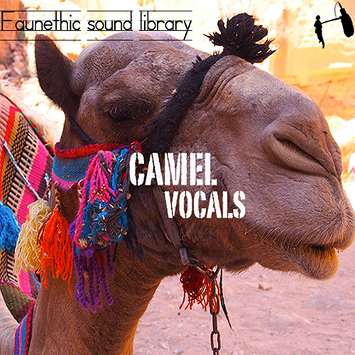 Camel Vocals - Female Bellowing, Shouting, Painful by Faunethic | Royalty  Free Sound Effects Track 
