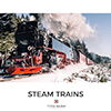 Steam Trains album cover