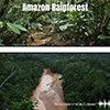 Amazon Rainforest album cover