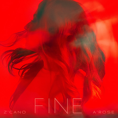 Fine album cover
