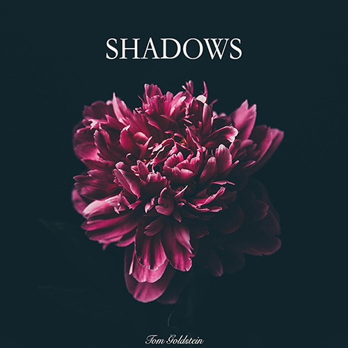 Shadows album cover