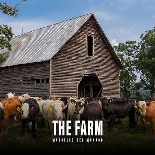 The Farm album cover