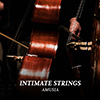 Intimate Strings album cover