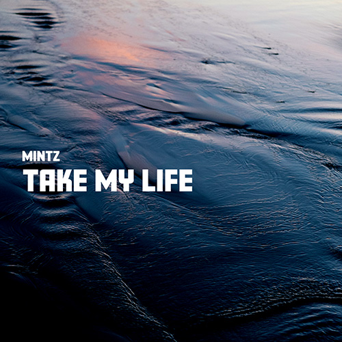 Take My Life album cover