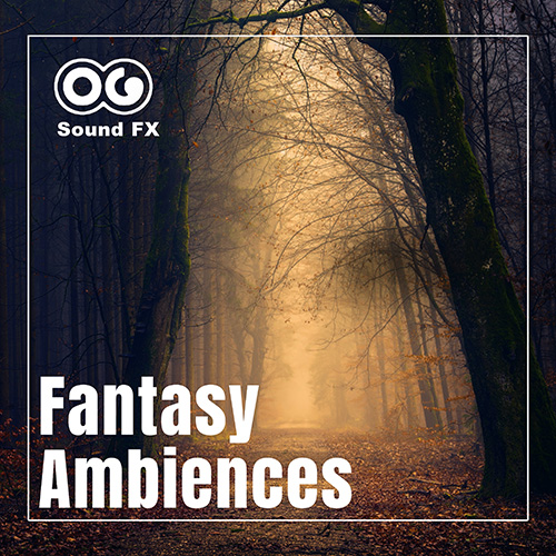 Fantasy Ambiences album cover