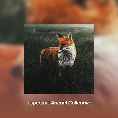 Animal Collective album cover