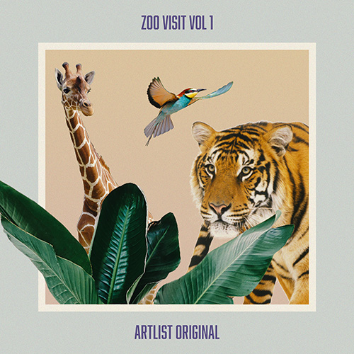 Zoo Visit - Lion Vocalization, Grunting by Artlist Original | Royalty Free Sound Effects Track Zoo Visit - Lion Vocalization, Grunting by Artlist Original | Royalty Free Sound Effects Track