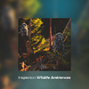 Wildlife Ambiences album cover