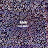 banner-highlight