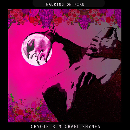 Walking on Fire album cover