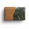 Rainforests album cover