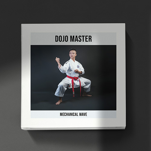 Dojo Master album cover