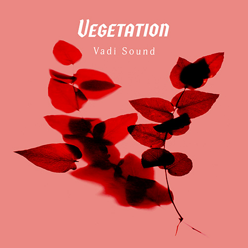 Vegetation album cover