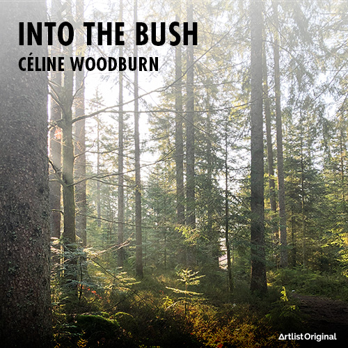 Into the Bush album cover
