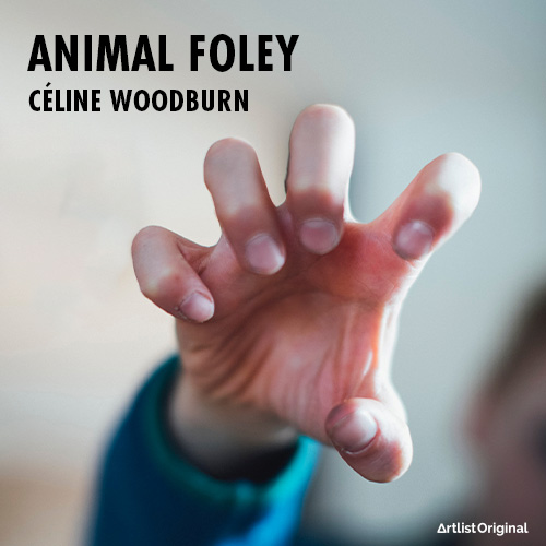 Animal Foley album cover