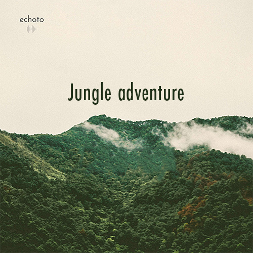 Jungle Adventure album cover