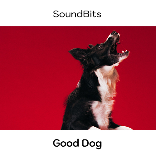 Good Dog album cover