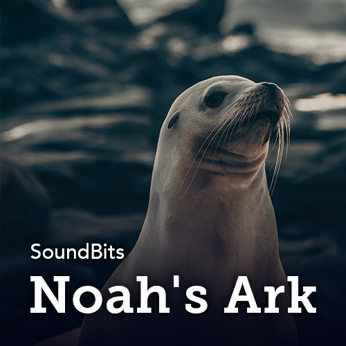 Noah's Ark album cover