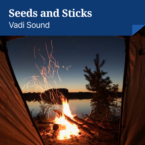 Seeds and Sticks album cover