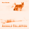Animals Collection album cover
