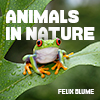 Animals in Nature album cover