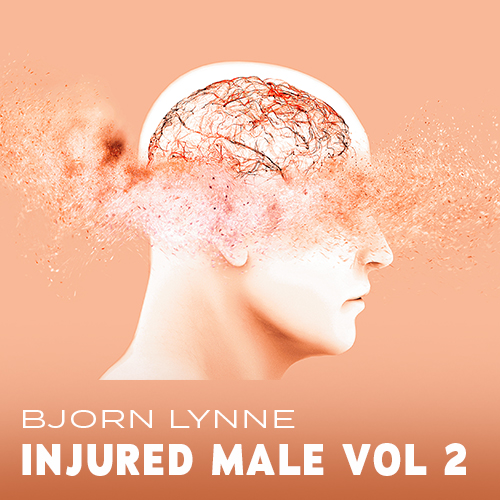 Injured Male Vol 2 album cover
