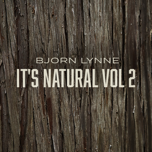 It's Natural Vol 2 album cover