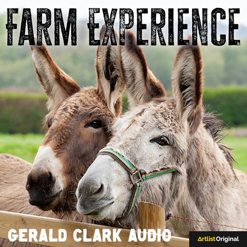 Farm Experience album cover