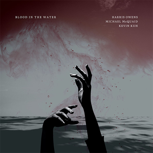 Blood in the Water album cover