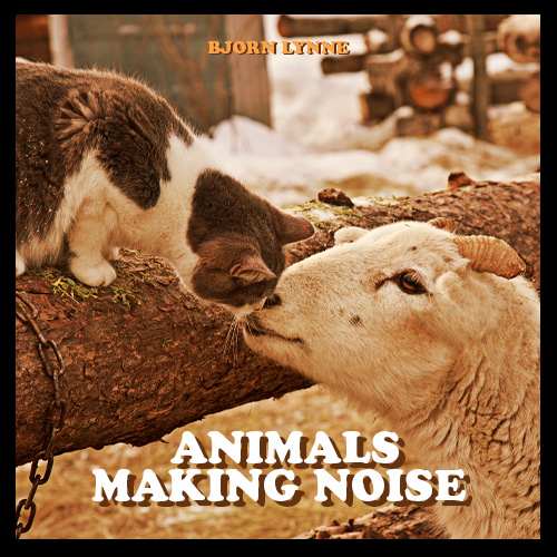 Animals Making Noise album cover