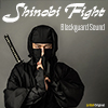 Shinobi Fight album cover