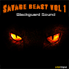 Savage Beast Vol 1 album cover