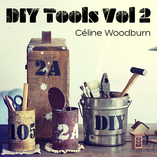 DIY Tools Vol 2 album cover