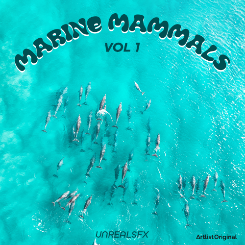 Marine Mammals Vol 1 album cover