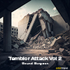 Temblor Attack Vol 2 album cover