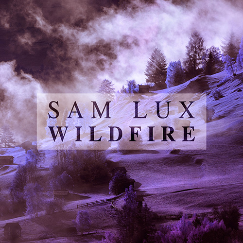 Wildfire album cover