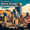 South African Ambiences Vol 1 album cover