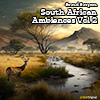 South African Ambiences Vol 2 album cover
